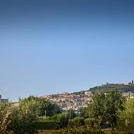 Da Carla * Santa Maria Degli Angeli (Assisi)
